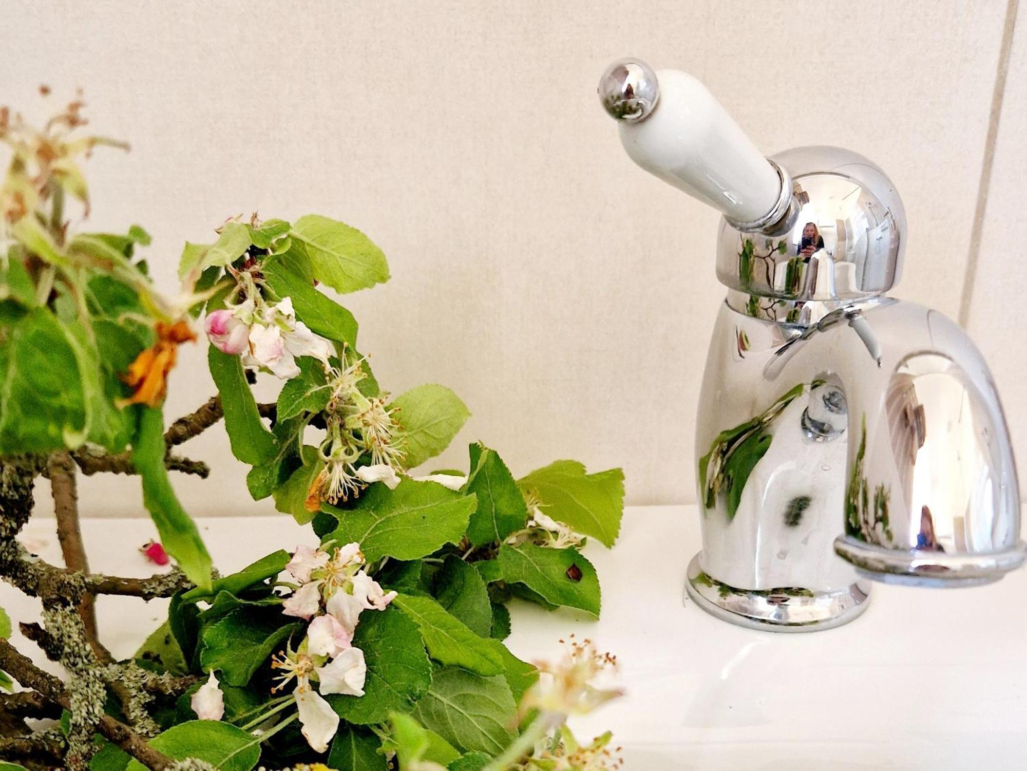 Villa Follemira Cz - Kitchen - Garden - Bike Storage Pencin エクステリア 写真